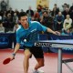 Donic Schildkröt 715041 Top Team 400 ITTF Onaylı Masa Tenisi Raketi Donic Schildkröt 715041 Top Team 400 ITTF Onaylı Masa Tenisi Raketi